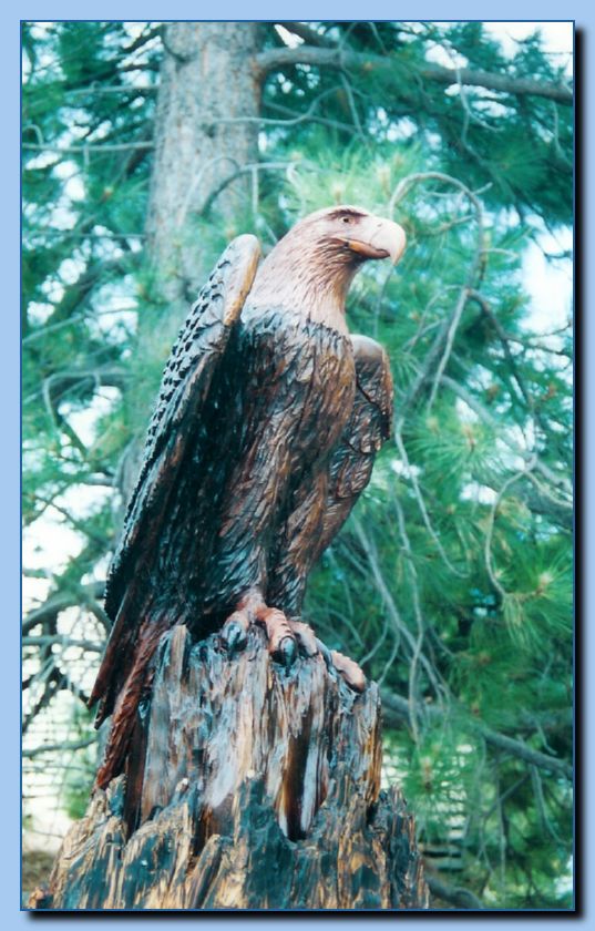 2-22 eagle  perched, half-spread wings-archive-0003